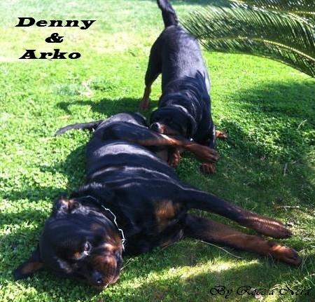 Arko - Roccia Nera